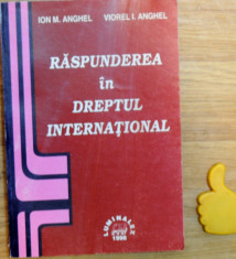 Raspunderea in dreptul international Ion Anghel foto