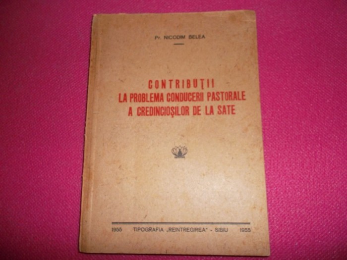 Contributii la problema conducerii pastorale a credinciosilor de la sate