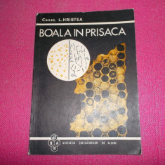Boala In Prisaca / Constantin Hristea