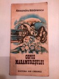 DD- Copiii Maramuresului, Alexandru Balanescu. Ed. Ion Creanga , Poezii