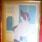 ALDO FAZIO Art Deco lithografie Reco International roz-bleu, 18,8x24cm