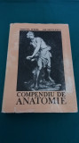 COMPEDIU DE ANATOMIE/ MIRCEA IFIRM, GHE. NICULESCU/1988/B*