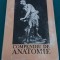 COMPEDIU DE ANATOMIE/ MIRCEA IFIRM, GHE. NICULESCU/1988/B*
