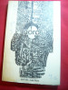 Stelian Gruia - NORD - Editura Albatros 1979, cu Dedicatie si Autograf, Carte Poezie