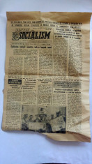Ziar vechi Pentru Socialism , Maramures, Duminica 28 iunie 1981, 4 pagini foto