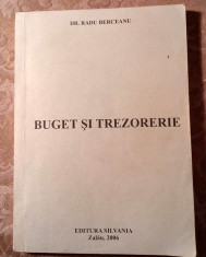 Buget si trezorerie, Dr. Radu Berceanu, Editura Silania, Zalau, 2006 foto