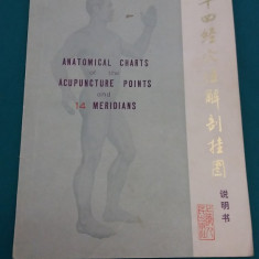 ANATOMICAL CHARTS OF THE ACUPUNCTURE POINTS AND 14 MERIDIANS /1976 *