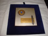 Placheta Federatia italiana de inot 1969-Federazione italiana nuoto