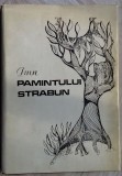 Cumpara ieftin IMN PAMANTULUI STRABUN (CULEGERE VERSURI/GALATI 1977/DESENE CONSTANTIN VREMULET)