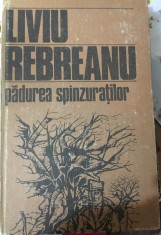 Liviu Rebreanu - Padurea spanzuratilor foto