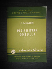 E. RADULESCU - PLOSNITELE GRAULUI foto