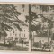 CARTE POSTALA-BRAILA