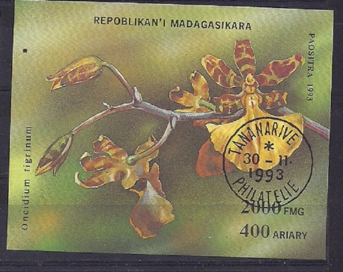 MADAGASCAR 1993 &ndash; FLORI EXOTICE, colita stampilata, SA13