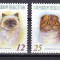 Taiwan 2005 fauna pisici caini MI 3089-3092 MNH w47