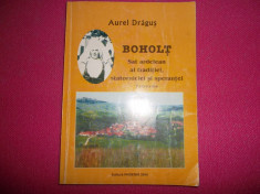 Aurel Dragus, Boholt foto