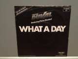 FRANK DUVAL - WHAT A DAY/FADE OUT (1984/TELDEC/RFG) - Vinil Single &#039;7/Impecabil