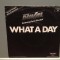 FRANK DUVAL - WHAT A DAY/FADE OUT (1984/TELDEC/RFG) - Vinil Single &#039;7/Impecabil
