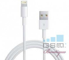 iPad Mini Cablu Date foto
