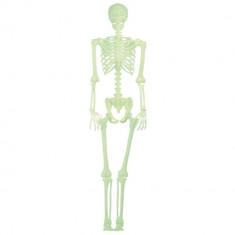 Scheleti din Plastic Halloween, 30 cm, 4 buc, OT12/1328 foto