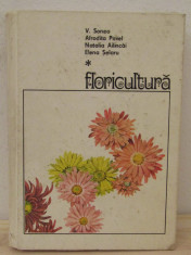 FLORICULTURA-V.SONEA foto