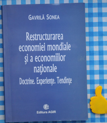 Restructurarea economiei mondiale si a economiilor nationale Gavrila Sonea foto