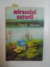 MIRACOLUL NATURII , RETETE CULINARE PENTRU VEGETARIENI , TRATAMENTE NATURISTE DIN PLANTE , MIEREA SI PRODUSELE STUPULUI de ANGELA HARNAJ foto