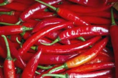 Seminte ardei iute chilli &amp;quot;Cayenne&amp;quot; foto