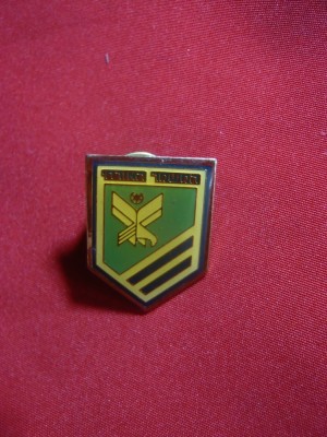 Insigna militara Israel , h= 2,3 cm ,cu buton foto