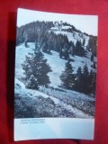 Ilustrata Masivul Postavaru -Cabana Cristianul Mare ,circulat 1962