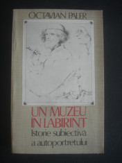 OCTAVIAN PALER - UN MUZEU IN LABIRINT * ISTORIA SUBIECTIVA A AUTOPORTRETULUI foto