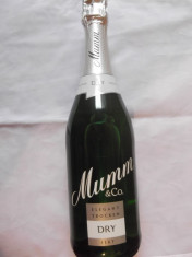 Sampanie Mumm &amp;amp; Co Dry 750 ml foto