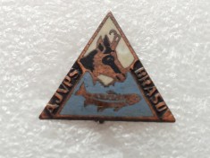 VANATOARE&amp;amp;PESCUIT-INSIGNA AJVPS BRASOV- foto