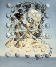 Tablou Reproducere pe Panza Canvas Salvator Dali Pictura Galatea of the Spheres foto