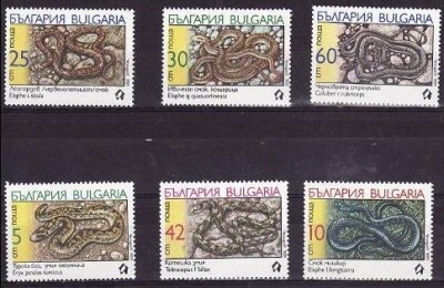 C3587 - Bulgaria 1989 - Reptile,cat.nr.3268-73 ,neuzat,perfecta stare foto