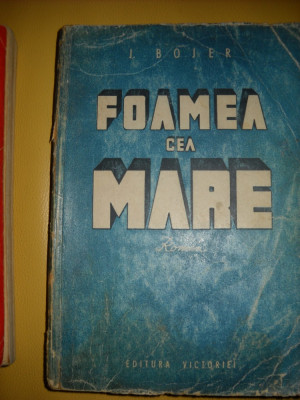 FOAMEA CEA MARE - JOHAN BOJER foto