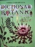 Dictionar botanic - Cele mai cunoscute plante din flora Romaniei foto