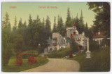 3654 - SINAIA, Prahova, PELISOR Castle - old postcard - unused