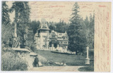 3099 - SINAIA, Prahova, PELISOR Castle, Litho - old postcard - used - 1903, Circulata, Printata