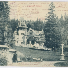 3099 - SINAIA, Prahova, PELISOR Castle, Litho - old postcard - used - 1903