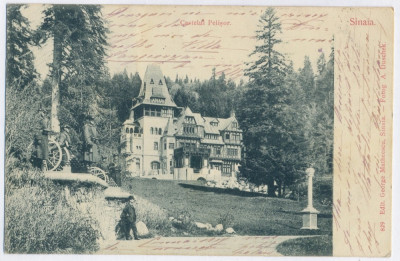 3099 - SINAIA, Prahova, PELISOR Castle, Litho - old postcard - used - 1903 foto