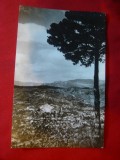 Ilustrata Slanic Prahova circulat 1970