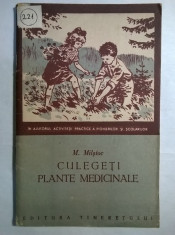 M. Milstoc - Culegeti plante medicinale foto