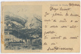 3694 - SINAIA, Prahova, PELES Castle, Litho - old postcard - used - 1899, Circulata, Printata