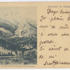 3694 - SINAIA, Prahova, PELES Castle, Litho - old postcard - used - 1899