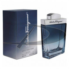 Salvatore Ferragamo Subtil Pour Homme, 100 ml, Apa de toaleta, pentru Barbati foto