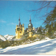 @ carte postala(ilustrata)-SINAIA-Castelul Peles