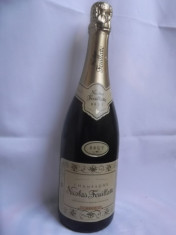 Sampanie Nicolas Feuillatte Brut/ 750 ml foto