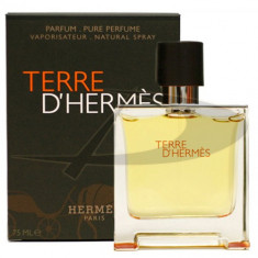 Hermes Terre Eau de Parfum, 75 ml, Apa de parfum, pentru Barbati foto