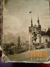 MUZEUL PELES-SINAIA foto