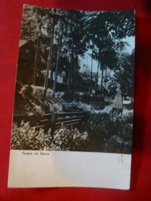 Ilustrata Bazna - Vedere cu Statuie , circulat 1962 foto